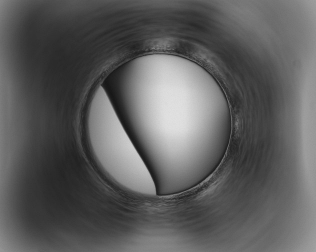 X0000089360725200706150822