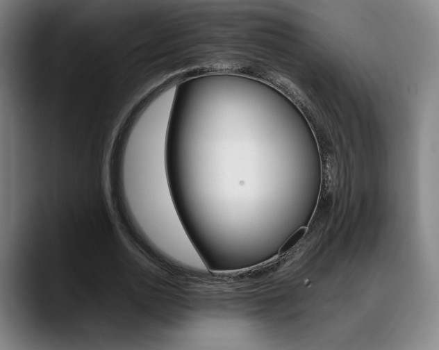 X0000089360726200706150822