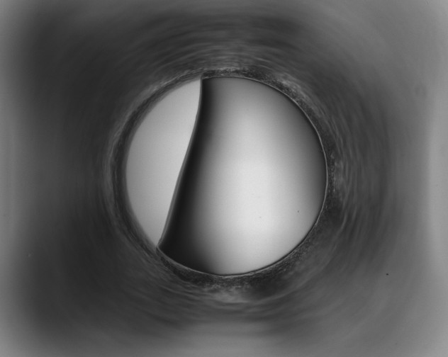 X0000089360727200706150822