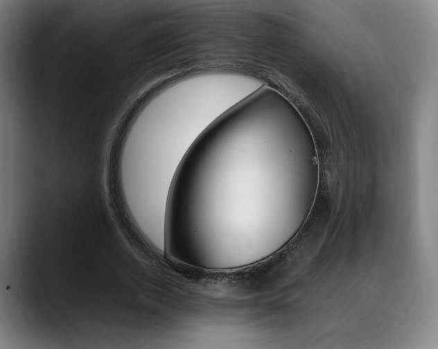X0000089360728200706150822