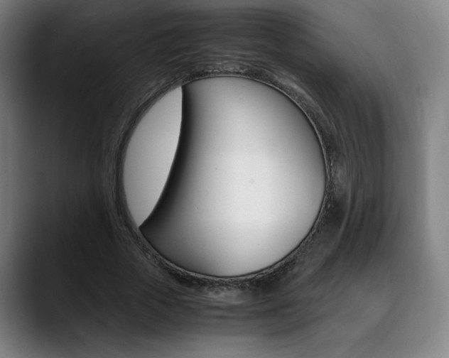 X0000089360729200706150822
