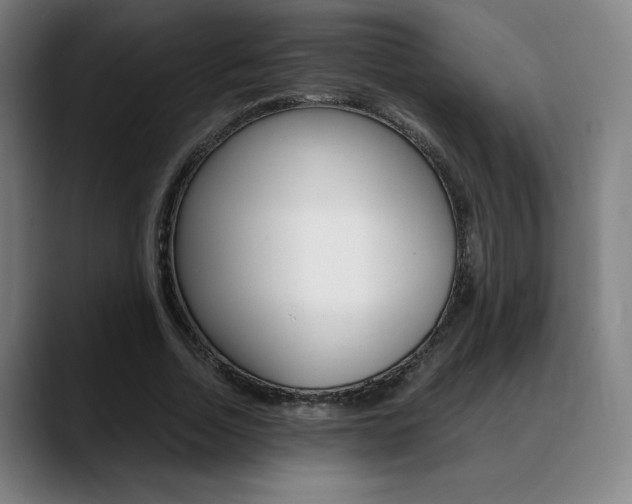 X0000089360730200706150822