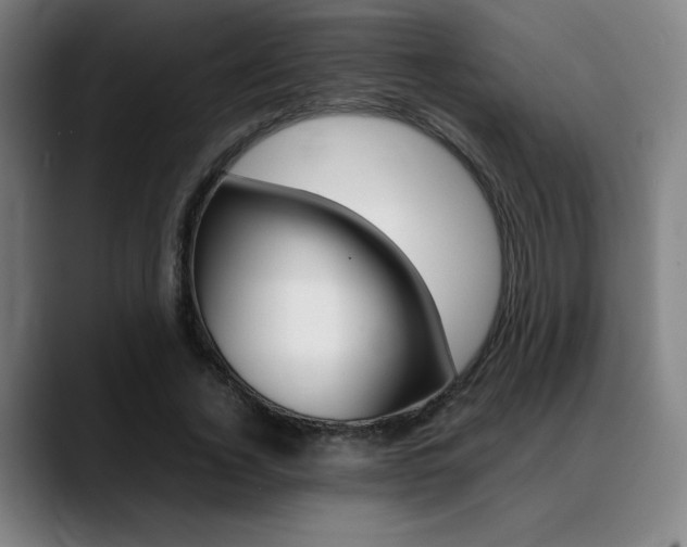 X0000089360732200706150822