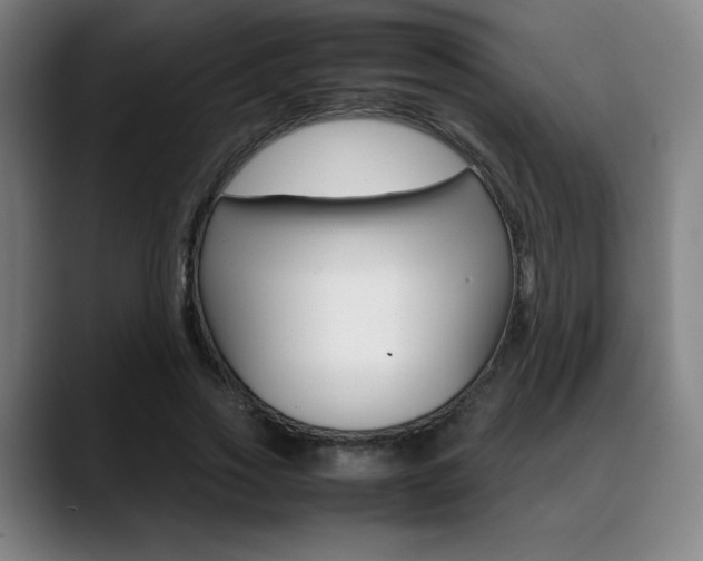 X0000089360733200706150823