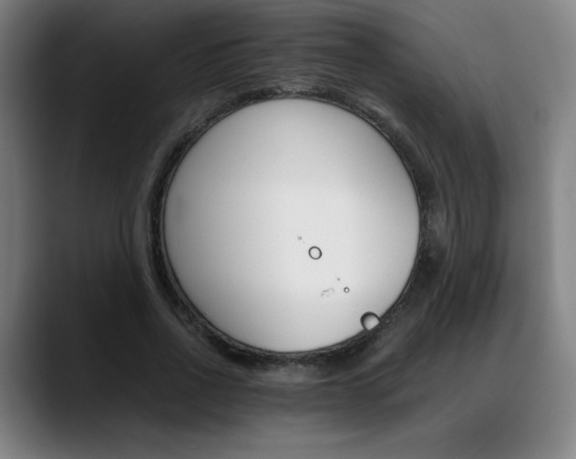 X0000089360734200706150823