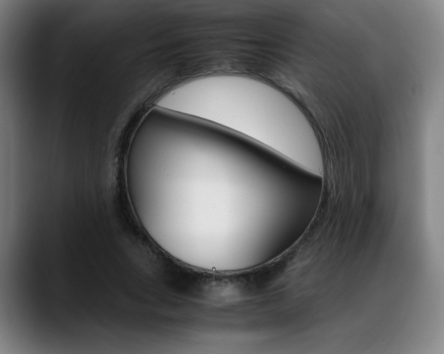 X0000089360735200706150823