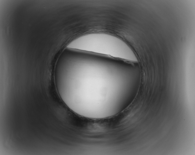 X0000089360739200706150823
