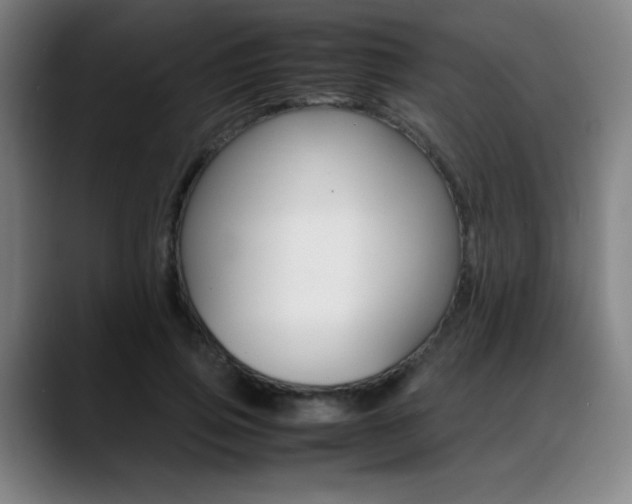 X0000089360741200706150823