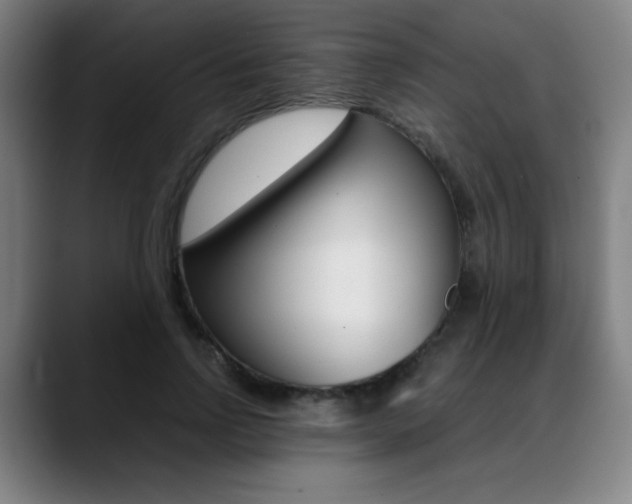 X0000089360742200706150823