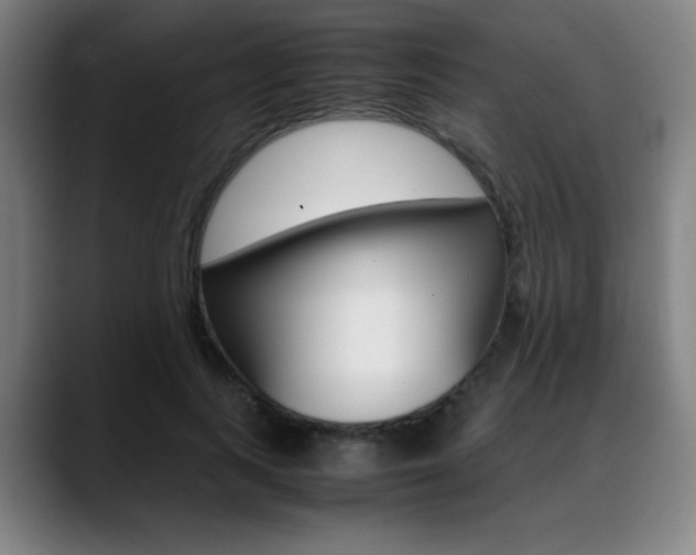 X0000089360743200706150823
