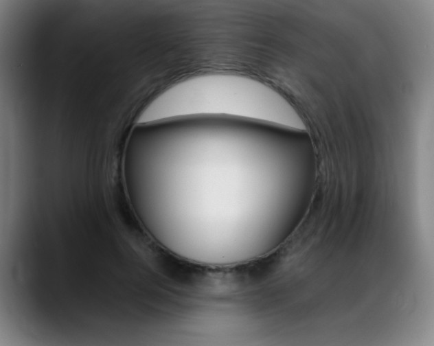 X0000089360744200706150823