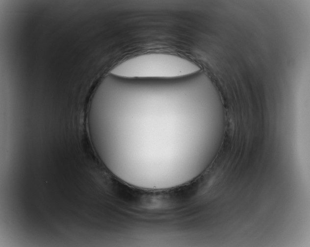 X0000089360745200706150823