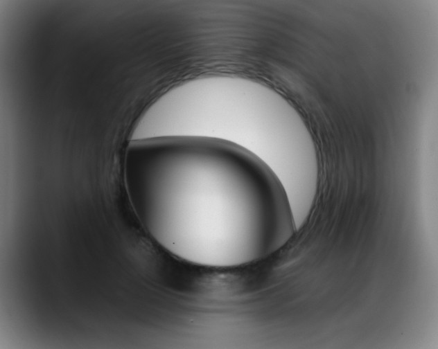 X0000089360748200706150823