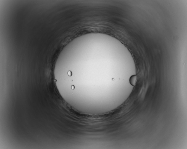 X0000089360749200706150823