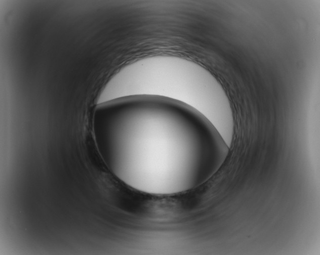 X0000089360752200706150823