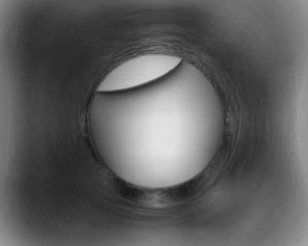 X0000089360753200706150823
