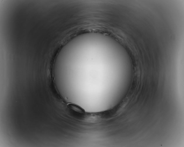 X0000089360754200706150823