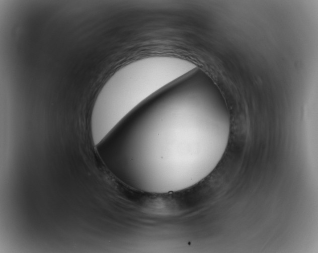 X0000089360755200706150823