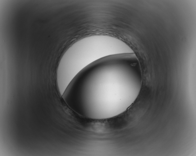 X0000089360756200706150823