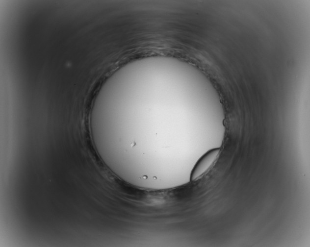 X0000089360757200706150823