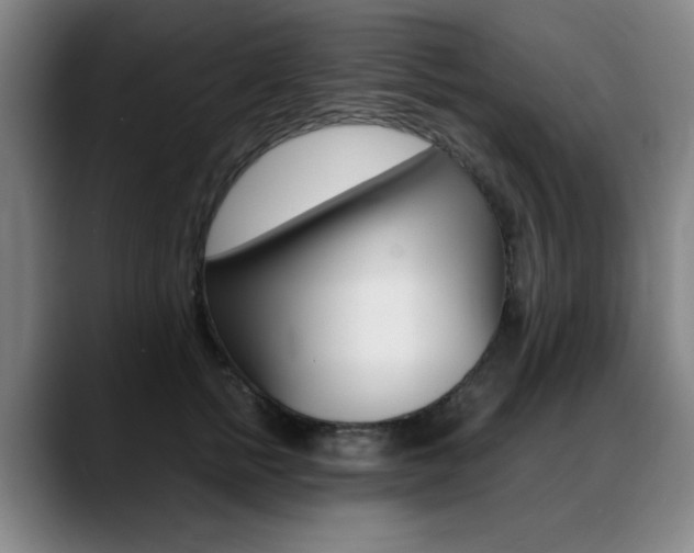 X0000089360758200706150823