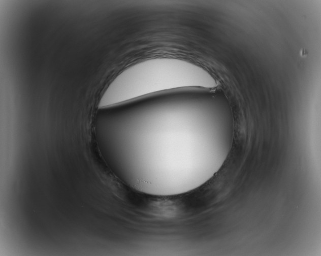 X0000089360759200706150823