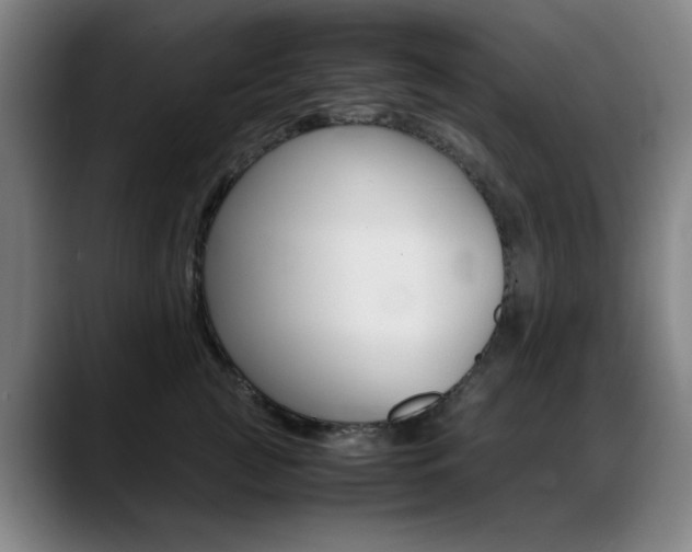 X0000089360761200706150823