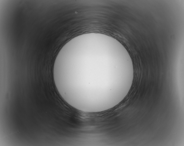 X0000089360762200706150823