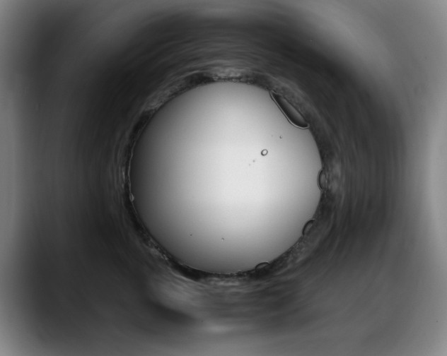 X0000089360763200706150823