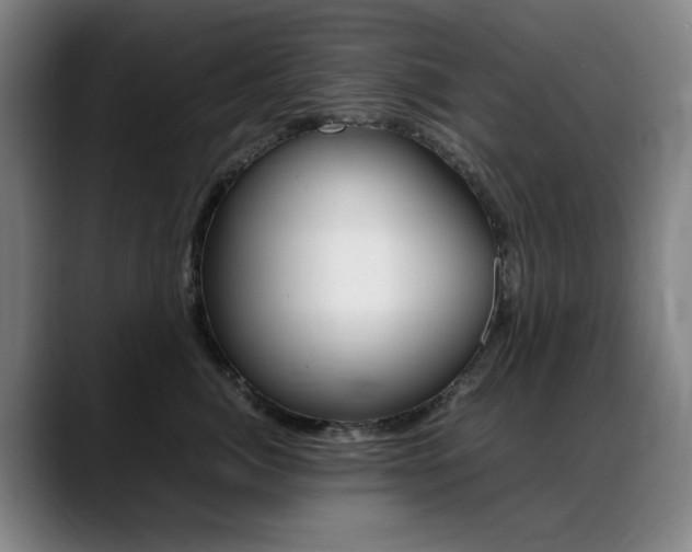 X0000089360764200706150823