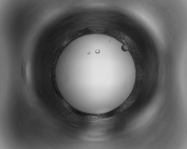 X0000089360765200706150823