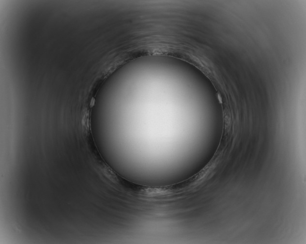 X0000089360766200706150823