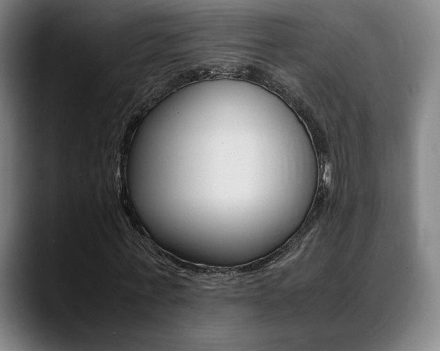 X0000089360771200706150822