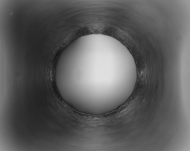 X0000089360772200706150822