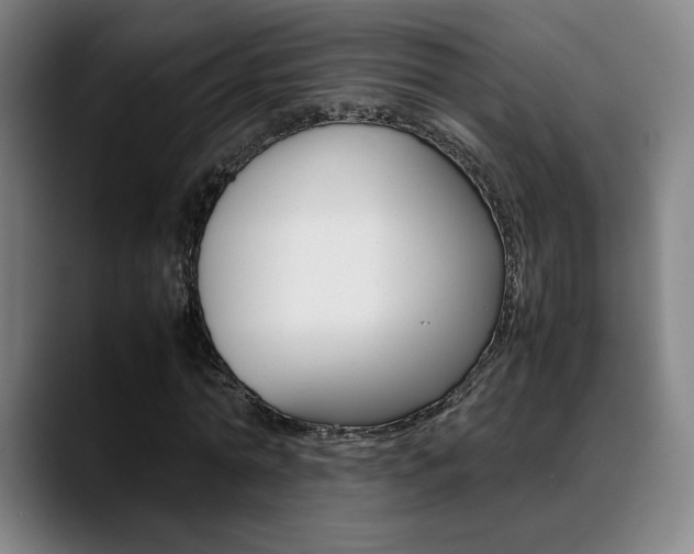 X0000089360774200706150822