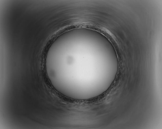 X0000089360775200706150822