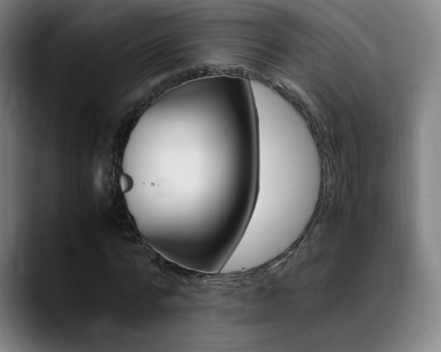 X0000089360776200706150822