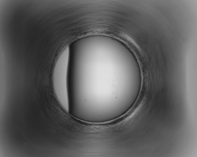 X0000089360777200706150822