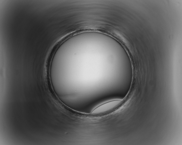 X0000089360779200706150822
