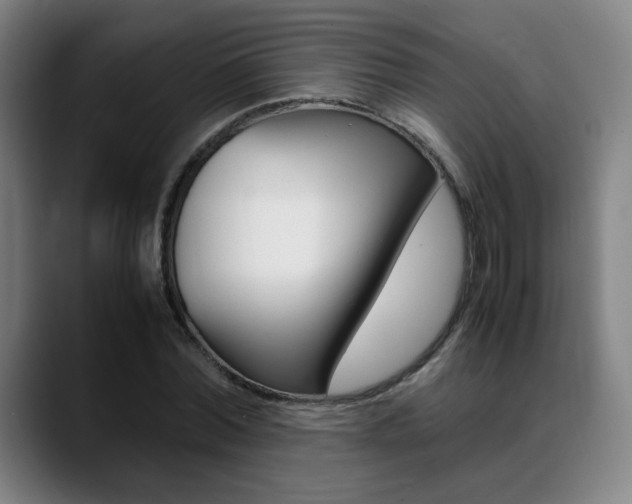 X0000089360780200706150822