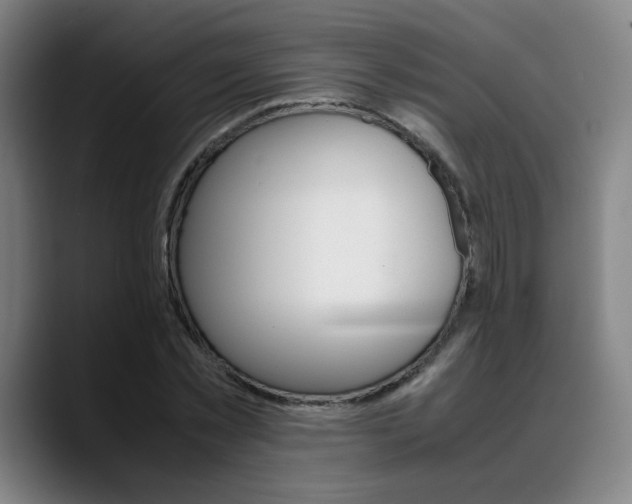 X0000089360781200706150822