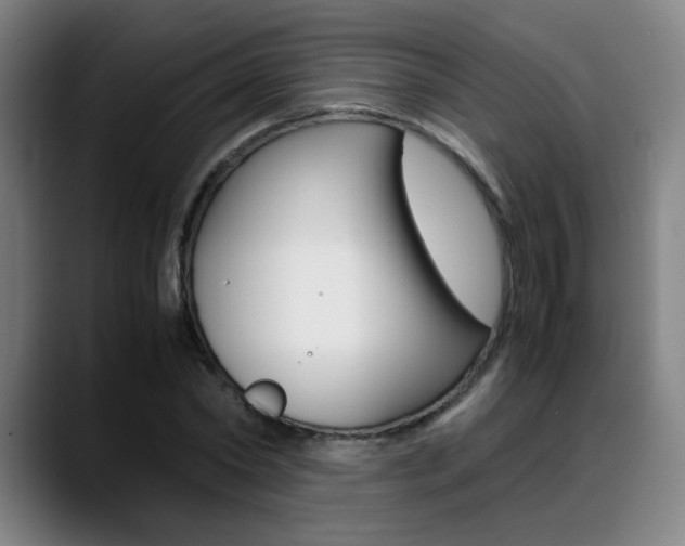 X0000089360782200706150822