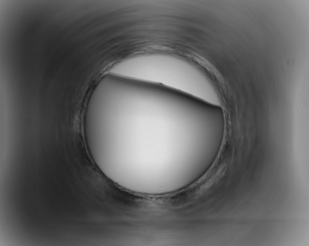 X0000089360785200706150822