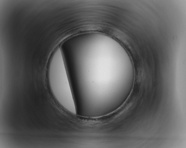 X0000089360786200706150822
