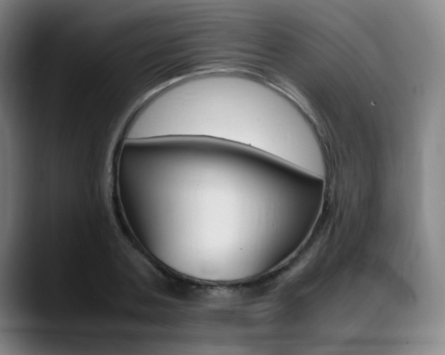 X0000089360787200706150822