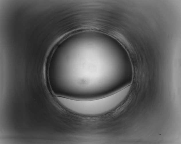 X0000089360788200706150822