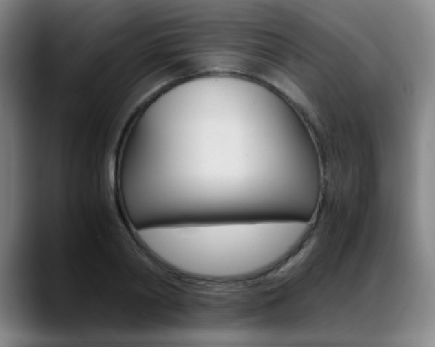 X0000089360790200706150822