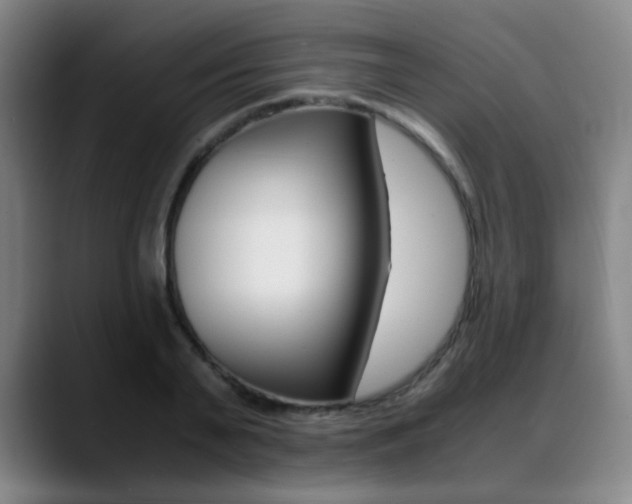 X0000089360791200706150822