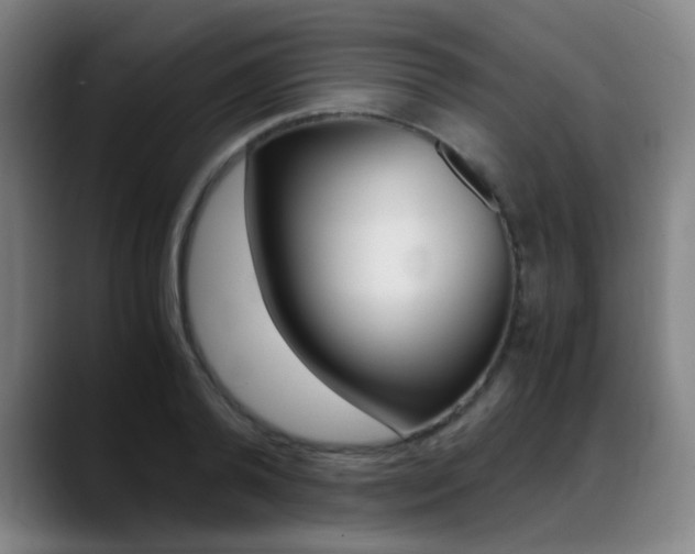 X0000089360792200706150822