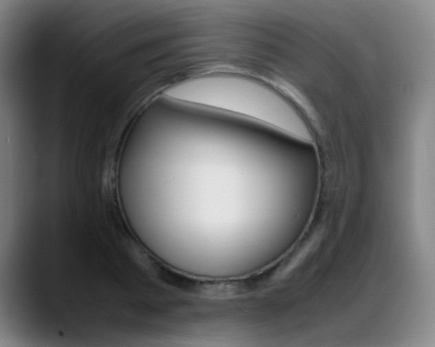 X0000089360793200706150822